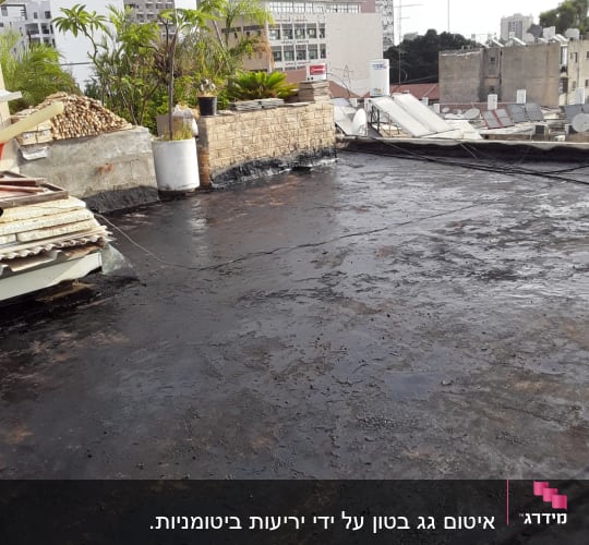 גג אטום בזפת עם צמחייה מסביב